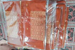 WhatsApp-Image-2026-03-11-at-9.25.11-PM